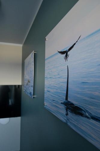 a bird flying over a whale in the water at Andenes Suitehotel in Andenes