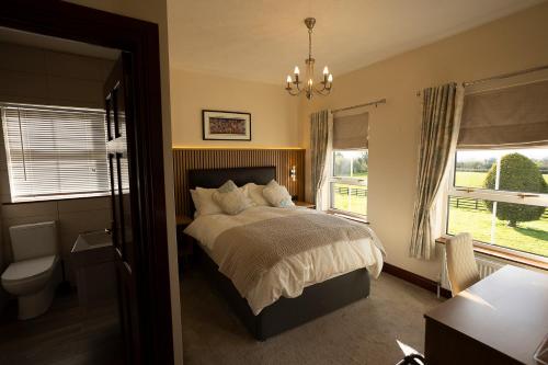 a bedroom with a bed and a toilet and a window at Glendaloch B&B in Antrim