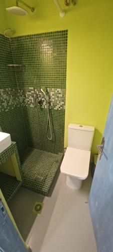 a green bathroom with a toilet and a shower at Agora Center Building - Room 14 in Ios Chora