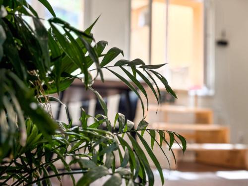 a plant with green leaves in a room at Remote Work Friendly Zahradní apartmán u jezera in Staré Splavy