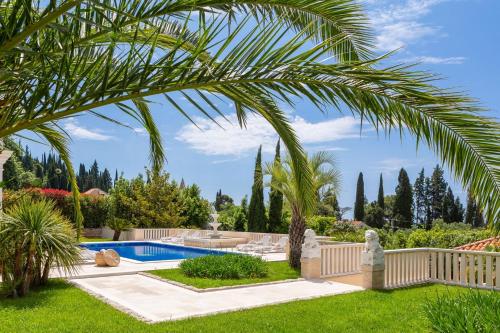 a backyard with a pool and a palm tree at La Villa Dubrovnik in Trsteno