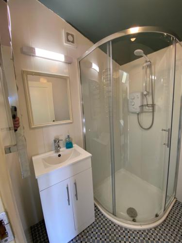 uma casa de banho com um chuveiro e um lavatório. em The Cosy Cabin by the shore em Galway