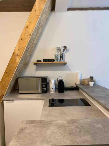 une cuisine avec un comptoir avec un micro-ondes dans l'établissement Studio Guépin : hyper centre au pied du tram, à Nantes