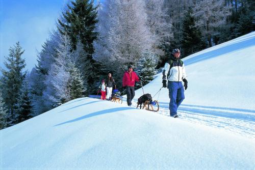 a group of people walking their dogs in the snow at Landhaus Schwentner in Kössen