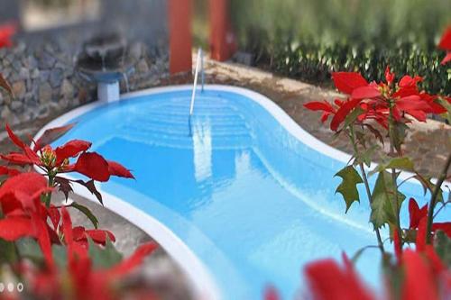 einen Pool mit einem Brunnen in einem Garten mit roten Blumen in der Unterkunft Ferienhaus für 10 Personen in La Caridad, Teneriffa Nordküste von Teneriffa in Tacoronte