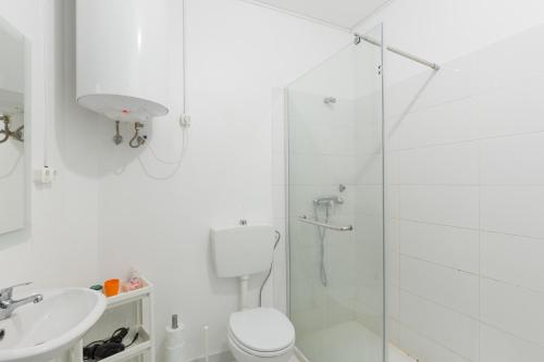 a bathroom with a shower and a toilet and a sink at Smile4Porto Guest House in Porto