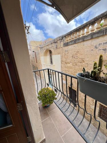 a balcony with a fence and a potted plant at My Travel House in Rabat