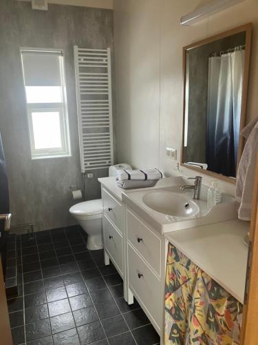W łazience znajduje się umywalka, toaleta i lustro. w obiekcie Ytri Árbakki w mieście Hvammstangi