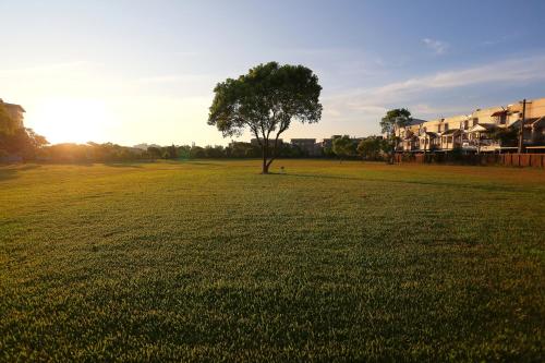 a field with a tree in the middle of it at Oak Garden 有停車位 旅館證號167 民宿證號1359 in Hualien City