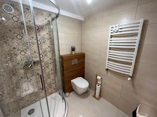 a bathroom with a shower and a toilet at POKOJE GOŚCINNE U ANIELI in Szczyrk