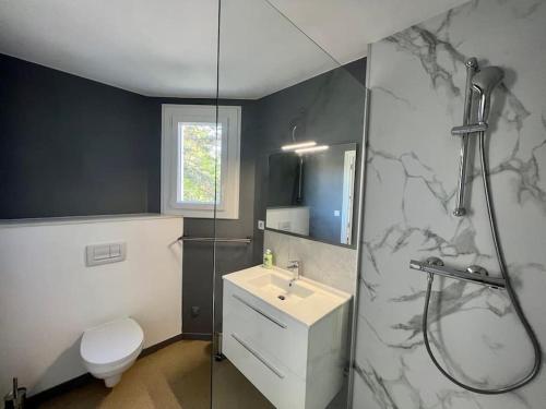une salle de bain avec une douche, un lavabo et des toilettes dans l'établissement Le Rivage du clain - Appart' de standing 10 pers., à Poitiers