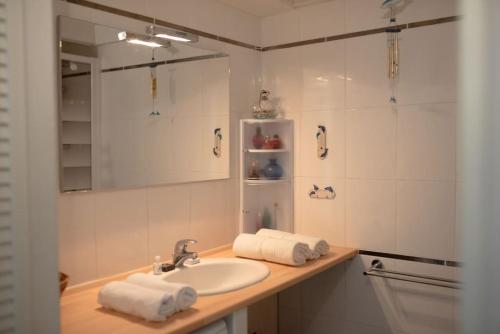 une salle de bain avec un lavabo et un miroir dans l'établissement Charmante Villa patio en bordure de forêt, à Capbreton