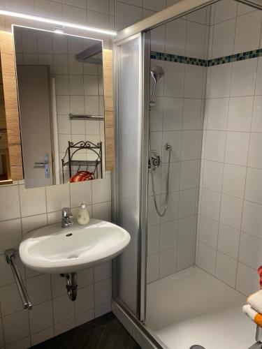a bathroom with a sink and a shower at Hansenbauernhof inkl. Chiemgaukarte in Ruhpolding
