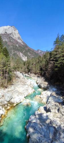 a river with rocks and a mountain in the background at Apartma Soča Oasis in Srpenica