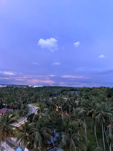 an aerial view of a bunch of palm trees at Mutiara Melaka Beach Resort-Rumah Bonda Ohana in Malacca