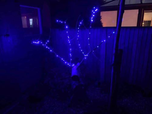 a christmas tree with lights in the dark at Harvel Cottage in Paulton
