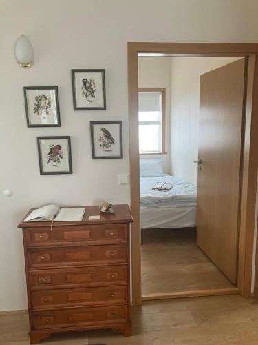 um quarto com uma cama, uma cómoda e um espelho em Ytri Árbakki em Hvammstangi