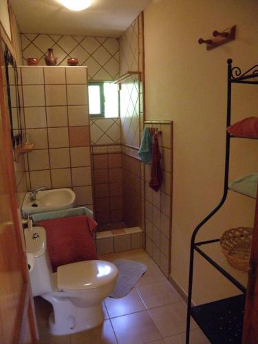 a bathroom with a toilet and a sink and a shower at Bungalows El Paradiso in Tazacorte