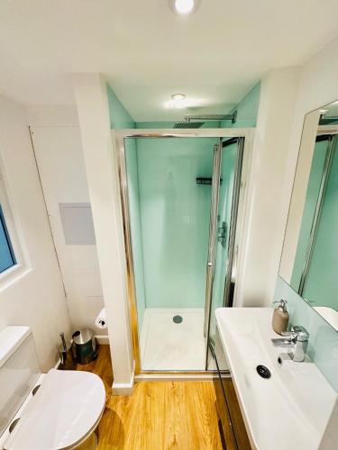 a bathroom with a shower and a toilet and a sink at Upper Rock Brighton Apartments in Brighton & Hove