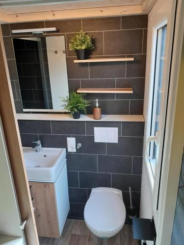 La petite salle de bains est pourvue de toilettes et d'un lavabo. dans l'établissement Tiny Haus Blanker Hans auf dem Campingplatz Strandgut, à Cuxhaven