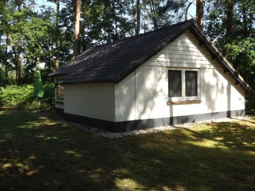 Vosseven 27 Heksenkring – Photos 2