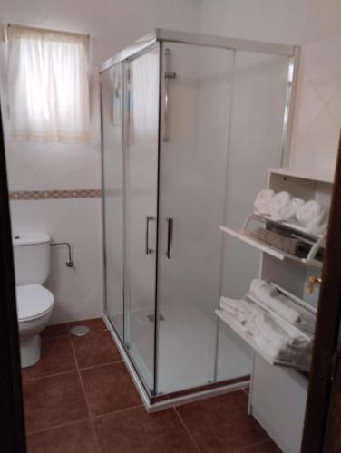 a bathroom with a glass shower and a toilet at Frente al mar, Doña Carmen Playa, Mejor vista de Suances in Suances