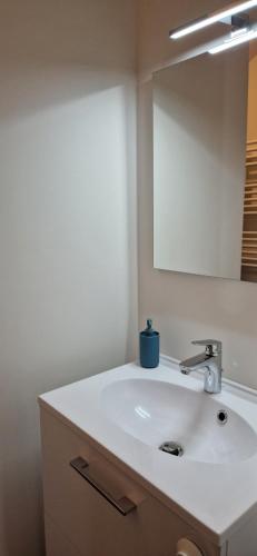une salle de bain avec un lavabo blanc et un miroir dans l'établissement Vue sur la BASILIQUE, à Bourg-en-Bresse