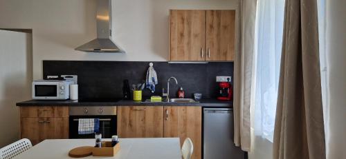 une petite cuisine avec un évier et un micro-ondes dans l'établissement Vue sur la BASILIQUE, à Bourg-en-Bresse