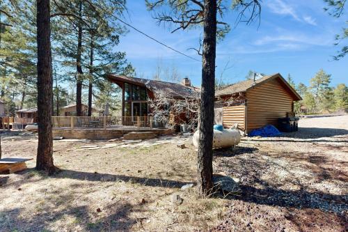 a log cabin in the woods with trees at Home in the Pines in Munds Park