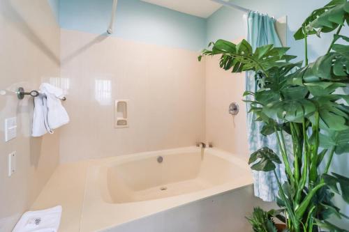 a bathroom with a bath tub and a plant at Ocean Queen in Tybee Island
