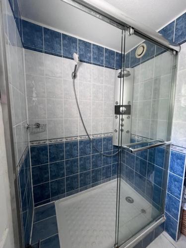 une douche avec une porte vitrée dans une salle de bain dans l'établissement Grand Appartement T2, charmant jardin, à Montpellier