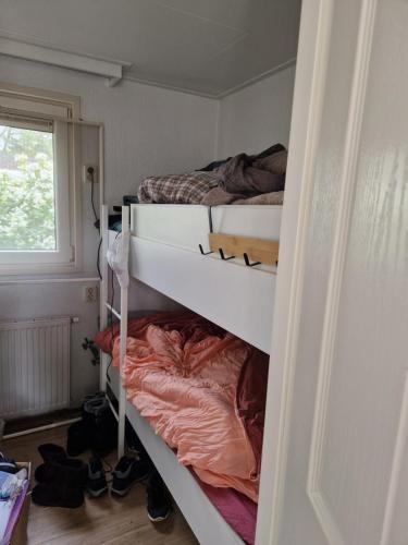 Ein Etagenbett oder Etagenbetten in einem Zimmer der Unterkunft Bospark Ede Huisje 31