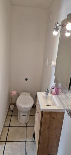 a small bathroom with a toilet and a sink at Némo Petit studio cosy. in Orville