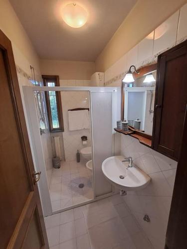 a bathroom with a shower and a sink and a toilet at Podere Travalda - appartamento in agriturismo per 4-6 persone in Pontedera