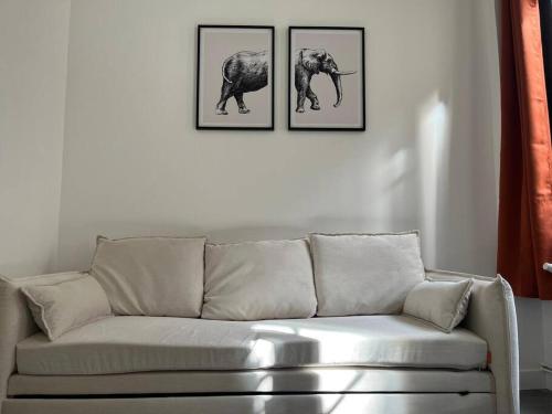 - un salon avec un canapé et trois photos d'un éléphant dans l'établissement Studio Angoulême centre, à Angoulême