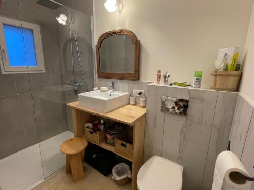 une salle de bain avec un lavabo, une douche et des toilettes dans l'établissement Coeur de Lavande - Maison climatisée avec piscine, à Fox-Amphoux