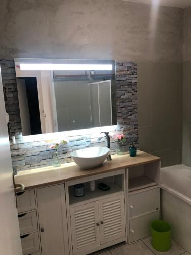 une salle de bain avec un lavabo, un miroir et une baignoire dans l'établissement Appartement de la fontaine, à Bry-sur-Marne
