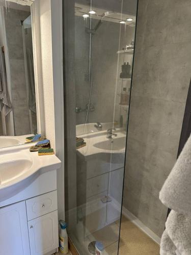 une salle de bain avec douche et lavabo dans l'établissement HOLIDAYLAND 441 VILLA T2 MEZZANINE 6 couchages avec véranda NARBONNE PLAGE, à Narbonne-Plage