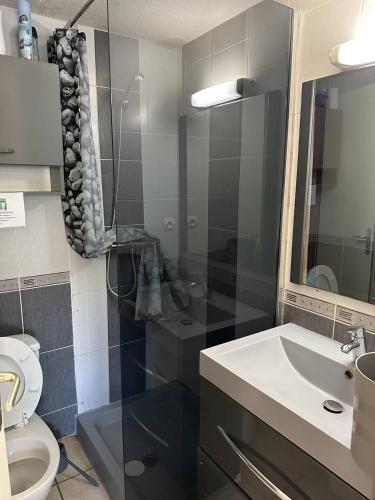 une salle de bain avec un lavabo, des toilettes et un miroir dans l'établissement HOLIDAYLAND 431 VILLA T2 MEZZANINE CLIM 8 couchages climatisé NARBONNE PLAGE, à Narbonne-Plage