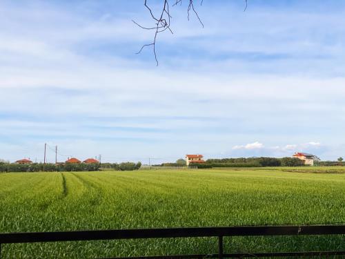 Gallery image of Pond and Pines, by nice house by the sea! in Epanomi