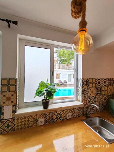 a kitchen window with a potted plant and a sink at Seixal Bay Village - Estúdio Vista Piscina in Seixal