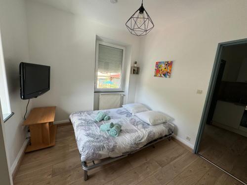 a small bedroom with a bed and a tv at Au petit Meuh'ster in Munster