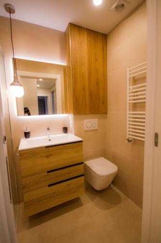 a bathroom with a sink and a toilet and a mirror at Etxeberri EBI01805 in Ermua