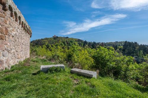 two stone benches sitting on top of a hill at Ferienwohnung Drachenstein in Weinheim