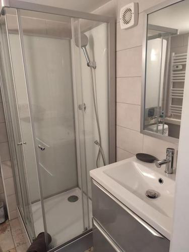 une salle de bain avec douche et lavabo dans l'établissement Studio 30 m 2, vue Mer avec Terrasse, à Cagnes-sur-Mer