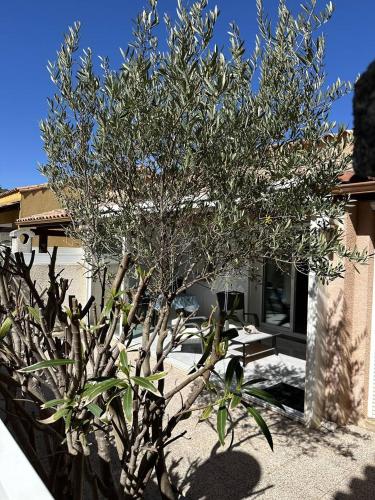 Photo de la galerie de l'établissement HOLIDAYLAND 438 VILLA T2 MEZZANINE 5 couchages climatisé avec véranda NARBONNE PLAGE, à Narbonne-Plage