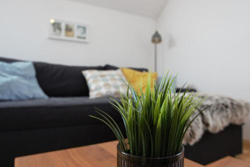 Gallery image of Domen's cozy rentals in Kranj
