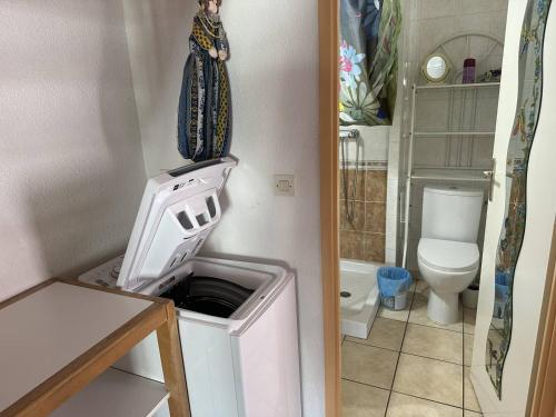 une petite salle de bains pourvue d'un lave-linge. dans l'établissement HOLIDAYLAND 318 VILLA T2 MEZZANINE 4 couchages climatisé avec véranda NARBONNE PLAGE, à Narbonne-Plage