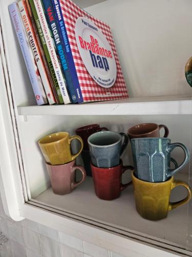 a row of cups on a shelf with books at Logeerderij tussen Koe & Kroonluchter in Diessen