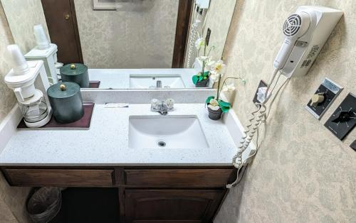 a bathroom with a sink and a hair dryer at Edelweiss Inn New Braunfels in New Braunfels